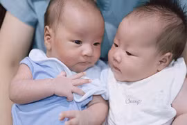 Những “bé rồng” đáng yêu mới chào đời của dàn sao Việt