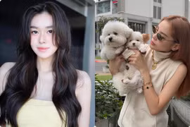 Tường San khoe mặt mộc, Kỳ Duyên chụp ảnh cùng cún cưng