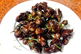 6 món ngon từ chim sẻ giúp bổ thận, tráng dương