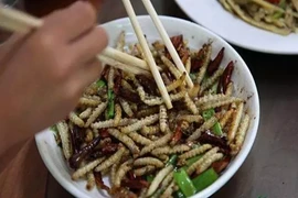 “Đặc sản” rùng rợn từ sâu, nhiều thực khách sợ nổi da gà