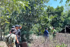 Đắk Nông: Điều tra vụ hai người đàn ông tử vong bất thường dưới ao nước nông