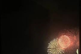 Pháo hoa rực rỡ thắp sáng bầu trời TPHCM trong đêm 27/4