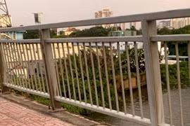 TPHCM: Một người nhảy cầu Bình Lợi, một người chết treo cổ