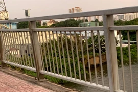 TPHCM: Một người nhảy cầu Bình Lợi, một người chết treo cổ