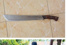 An Giang: Bắt giữ đối tượng chém nhân viên soát vé phà