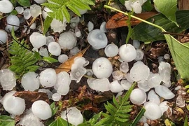 Mưa đá trắng trời Hà Giang, đá to như trứng phủ kín mặt đường