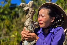 Bắt giữ anh rể phá hoại, chặt hết vườn quả nhà em vợ