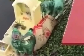 Cháu trai học cấp 3 sát hại bà nội, thi thể ở dưới ao