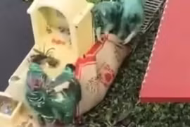 Cháu trai học cấp 3 sát hại bà nội, thi thể ở dưới ao