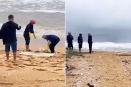  Phát hiện thi thể nữ không nguyên vẹn dạt vào bãi biển Quảng Nam