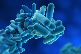 Kinh hoàng 9 căn bệnh do nguồn nước ô nhiễm gây ra