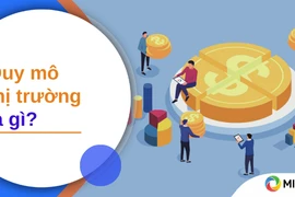 Tìm hiểu quy mô thị trường trước khi khởi nghiệp