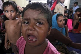 Tình cảnh khốn cùng của người tị nạn Rohingya