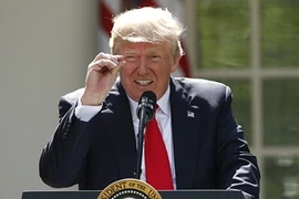 Tổng thống Donald Trump: “Một mình chống lại… sức mạnh thị trường”