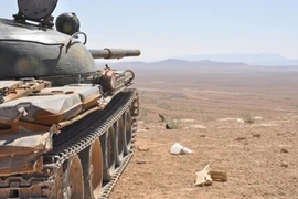 Quân đội Syria giải phóng phần lớn thành phố Mayadin