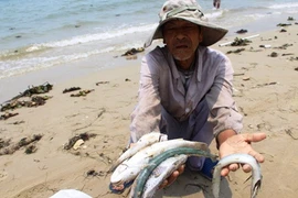 Chuyên gia Nga phản bác câu hỏi: Cá tôm hay là thép?