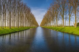 Giải mã kế hoạch tham vọng ít biết của Hoàng đế Napoleon 