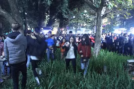 Video: Vườn hoa hồ Gươm bị 'san phẳng' sau đêm giao thừa