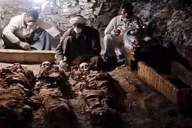 Loạt phát hiện gây sửng sốt nhân loại về mộ cổ Ai Cập 