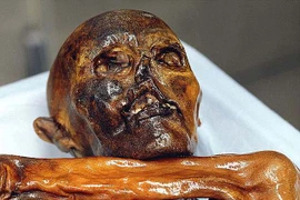 Hình xăm trên xác ướp người băng Otzi có sức mạnh thần thánh gì? 