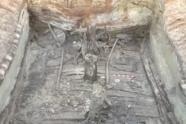 Phát hiện bất ngờ cỗ xe bò niên đại 4.000 năm tuổi