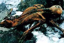 Loạt phát hiện bất ngờ tìm thấy trong lớp băng tuyết