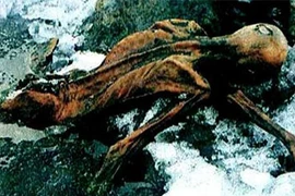 Loạt phát hiện bất ngờ tìm thấy trong lớp băng tuyết