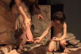 Người Neanderthal tuyệt chủng vì núi lửa phun trào?