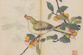 Bên trong cuốn sách in màu cổ nhất thế giới