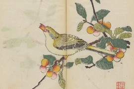 Bên trong cuốn sách in màu cổ nhất thế giới