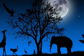 Giải mã 7 lời đồn "dựng tóc gáy" quanh ngày trăng tròn 