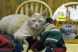 Chuyện giật mình về “ngài thị trưởng” đặc biệt nhất nước Mỹ 