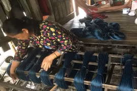 Thu nhập bất ngờ của những gia đình sống trên bãi đất bỏ không