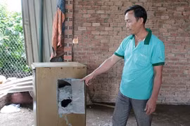 Khóa trái cửa phòng gia chủ rồi ung dung trộm két sắt