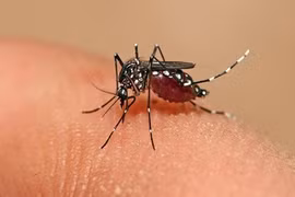 Sốt xuất huyết mấy ngày thì khỏi?