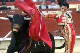 Khám phá những điều bất ngờ, thú vị về Tây Ban Nha