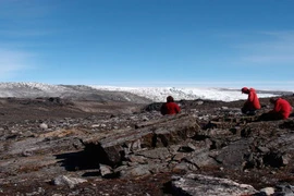 Hóa thạch 3,7 tỷ năm báo hiệu sự sống trên sao Hỏa