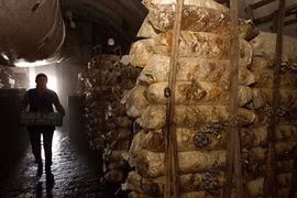 Căn cứ tên lửa một thời của Liên Xô giờ ra sao? 