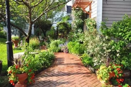 Vườn tràn đầy sắc màu tươi tắn của các loài hoa của cô giáo tiếng Anh