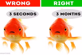 Những quan niệm sai lầm khiến nhiều người tin sái cổ 