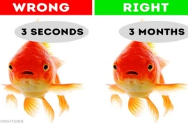 Những quan niệm sai lầm khiến nhiều người tin sái cổ 