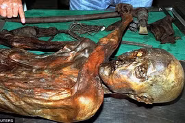 Phát hiện sốc về xác ướp người băng mang "lời nguyền thế kỷ" 