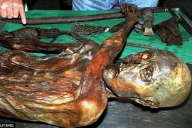 Phát hiện sốc về xác ướp người băng mang "lời nguyền thế kỷ" 