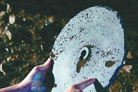 Bí ẩn bỏ ngỏ về đĩa đá Dropa