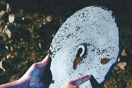 Bí ẩn bỏ ngỏ về đĩa đá Dropa