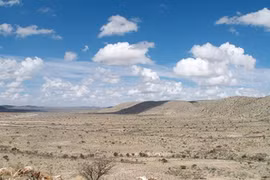 Rạn san hô cổ nhất thế giới được tạo thành thế nào?