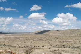 Rạn san hô cổ nhất thế giới được tạo thành thế nào?