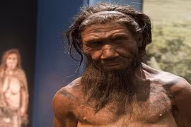 Ít ai ngờ người Neanderthal cổ đại dùng lửa theo cách này