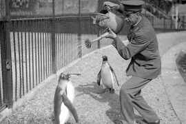 Ảnh lịch sử đặc biệt về cuộc sống của người xưa