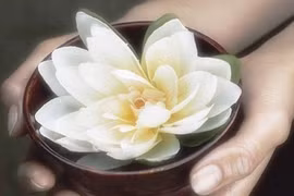 Tại gia vẫn tu tập tốt